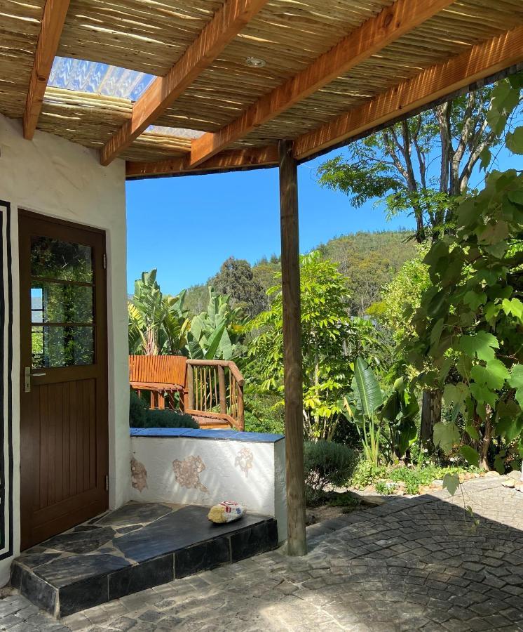Badger'S Lodge Knysna Esterno foto