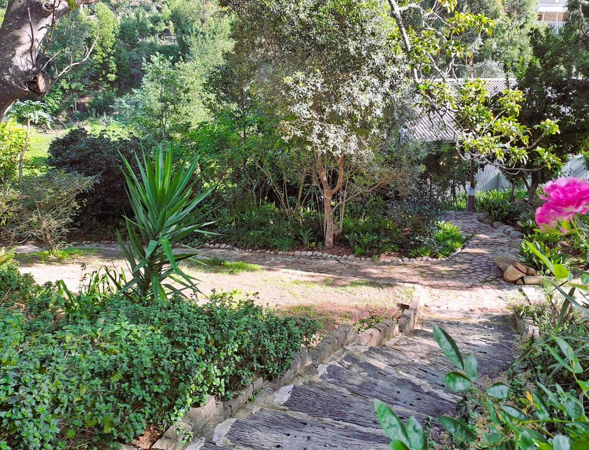 Badger'S Lodge Knysna Esterno foto