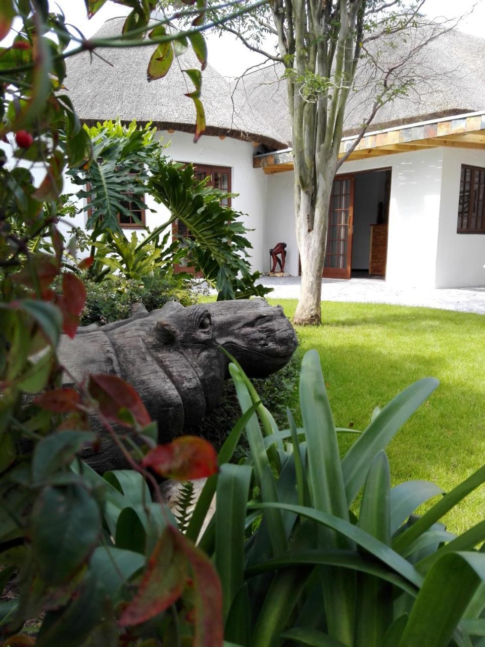 Badger'S Lodge Knysna Esterno foto